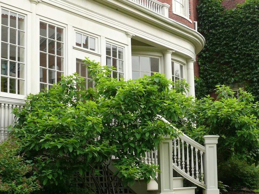 Blind Tiger Guest House Portland Exterior foto